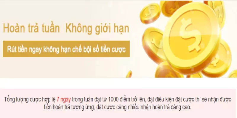 Chương trình hoàn trả tuần không giới hạn siêu hấp dẫn