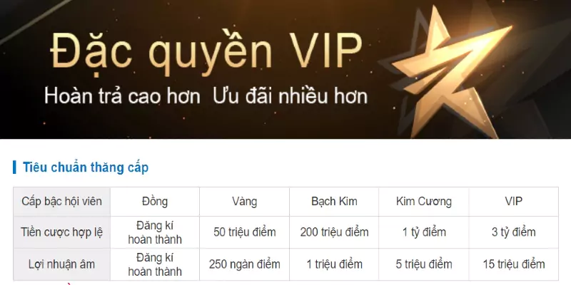 Ưu đãi độc quyền cho VIP