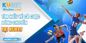 Tìm Hiểu Về Loại Hình Cá Cược Bóng Chuyền Tại KUBET